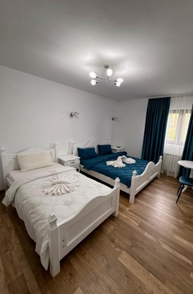 Pension CASA CROITORU from Oncesti, Maramureș picture 9