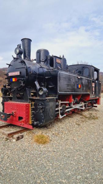 MOCANITA from Viseu De Sus, Maramureș