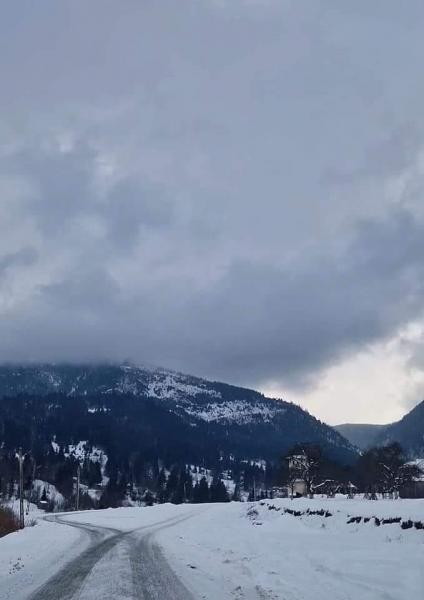 MANASTIREA MOISEI from Moisei, Maramureș picture 4