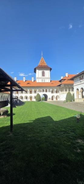 MANASTIREA BRANCOVEANU from Sambata De Sus, Brașov picture 20