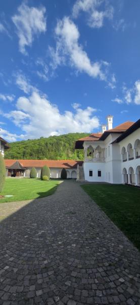 MANASTIREA BRANCOVEANU from Sambata De Sus, Brașov picture 21