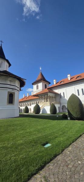 MANASTIREA BRANCOVEANU from Sambata De Sus, Brașov picture 24