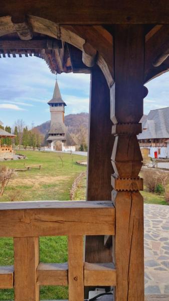 MANASTIREA BARSANA from Barsana, Maramureș picture 28