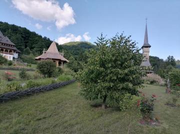 MANASTIREA BARSANA from Barsana, Maramureș picture 8