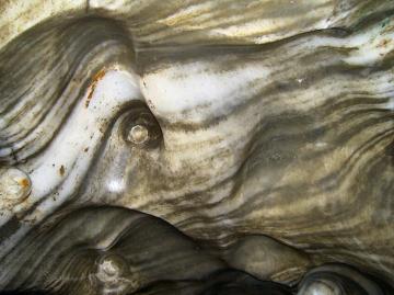 SALINA TURDA from Turda, Cluj picture 3