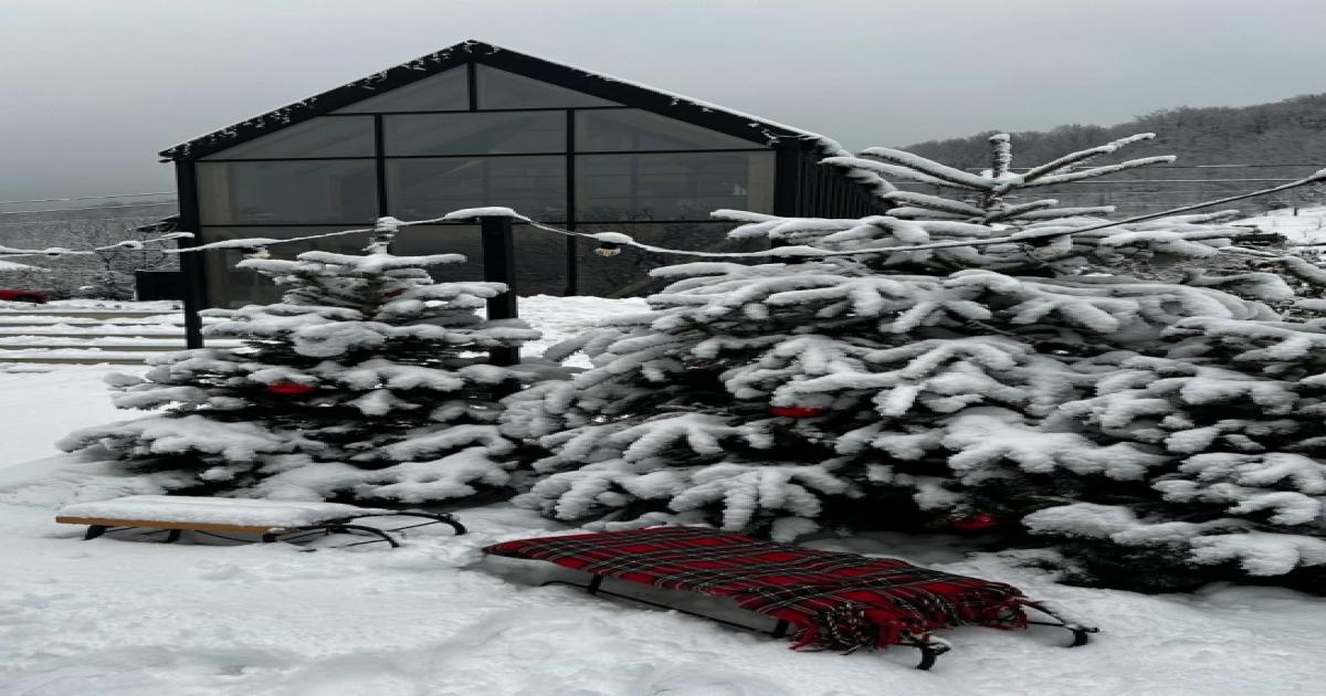 Cabin THE HOPE picture 1