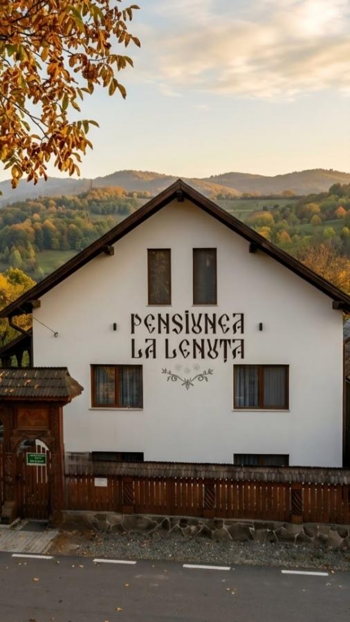 Pension LA LENUTA picture 1