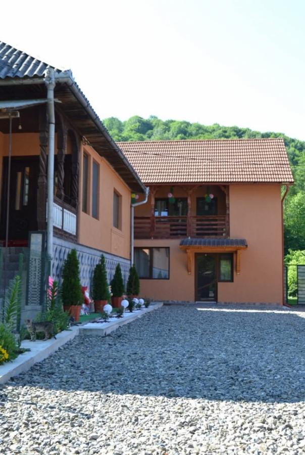 Pension CASA CEZAR BARSANA picture 1